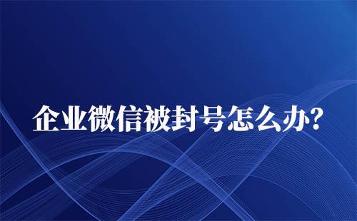 企業(yè)微信被封號了怎么解封