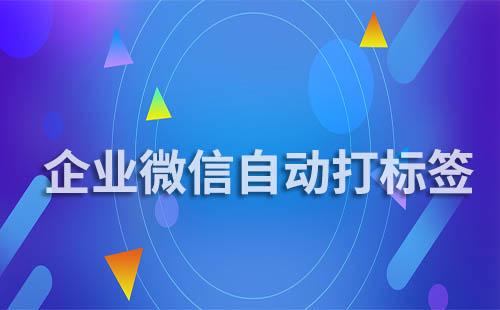 企業(yè)微信可以給客戶自動(dòng)打標(biāo)簽嗎