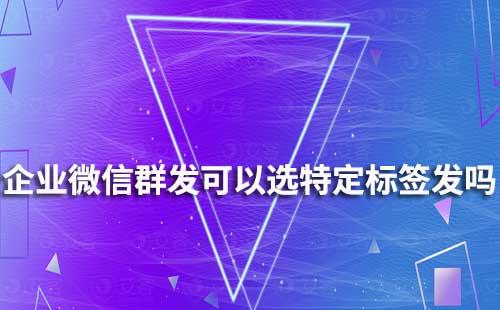 企業(yè)微信群發(fā)可以通過選擇特定標(biāo)簽發(fā)嗎