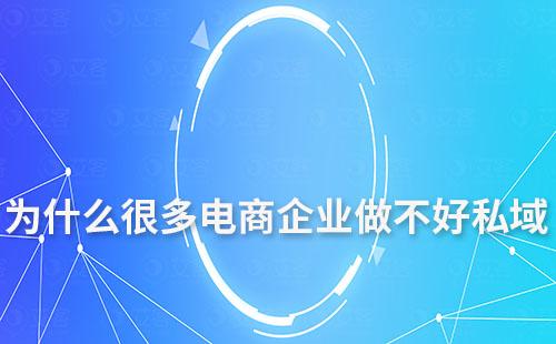 為什么大部分電商企業(yè)做不好私域流量