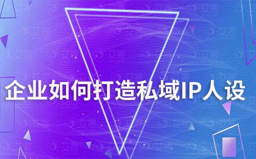 企業(yè)如何打造私域IP人設