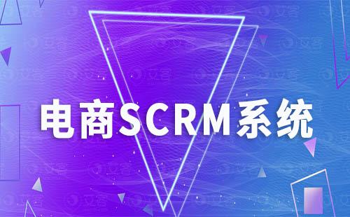 SCRM系統(tǒng)在電商打造私域運(yùn)營中扮演著怎樣的角色